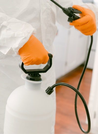 mosquito-fogging-image-2