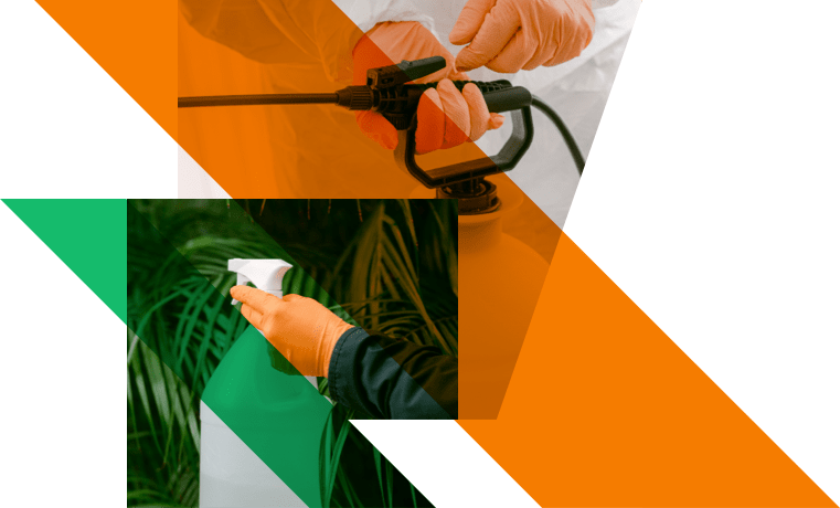 flying-pest-control-image-2